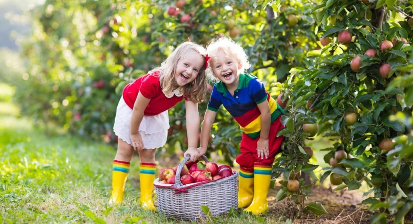 outdoor-family-fun-in-the-fall_kids-apple-picking_260x141.jpg